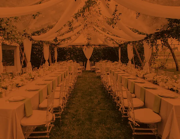 Options uniques pour lieux de reception